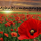 Mohnblumen